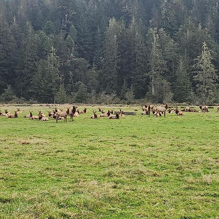 Redwood Farmhouse In The Orick Valley Esterno foto